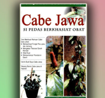 cabe jawa