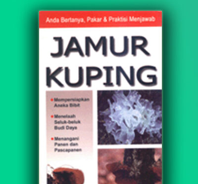 jamur kuping