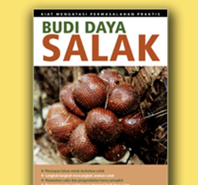 budi daya salak