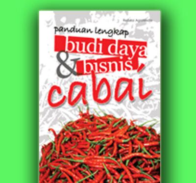 budi daya cabai