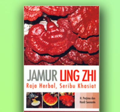 jamur ling zhi