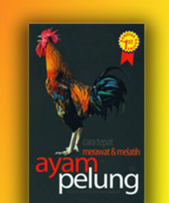ayam pelung