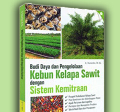 kebun kelapa sawit