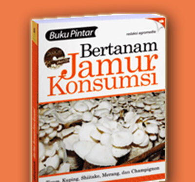 bertanam jamur konsumsi