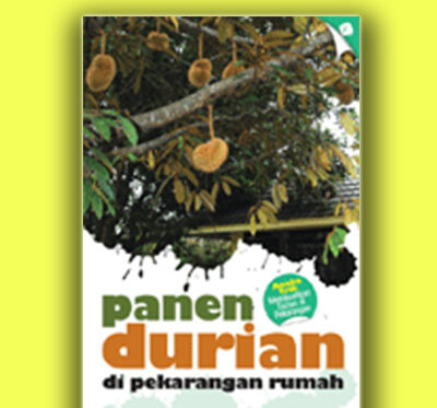 panen durian di pekarangan rumah