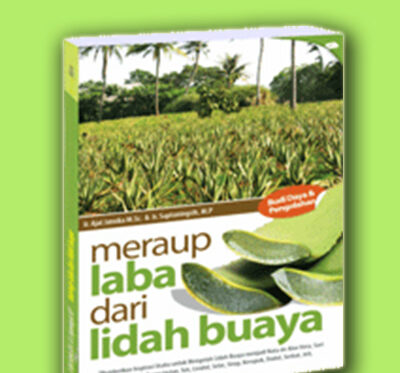 meraup laba dari lidah buaya