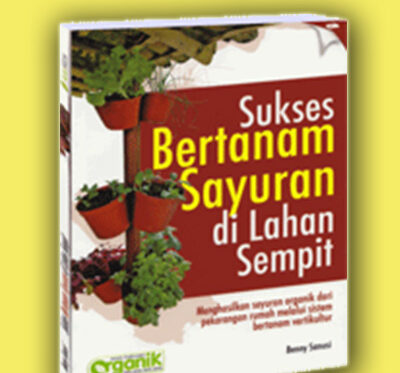 sukses bertanam sayur di lahan sempitan