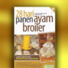 28 hari panen ayam broiler