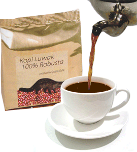 kopi-luwak-enak