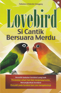 lovebirdsicantikbersuaramerdu