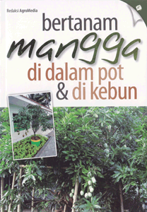 bertanammanggadidalampotdandikebun