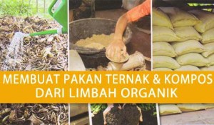 Agromedia Mengolah  Limbah  Organik  Menjadi Pakan dan 