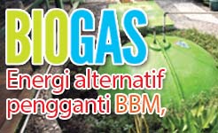 biogas-energi-alternatif-1