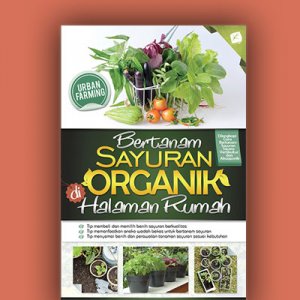 bertanam sayuran organik di halaman rumah