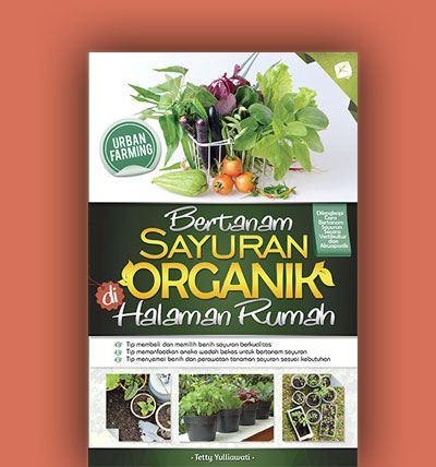 bertanam sayuran organik di halaman rumah