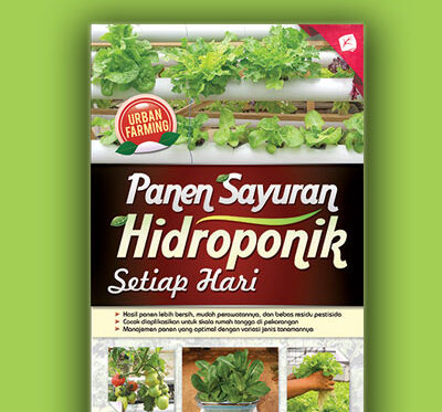 panen sayuran hidroponik