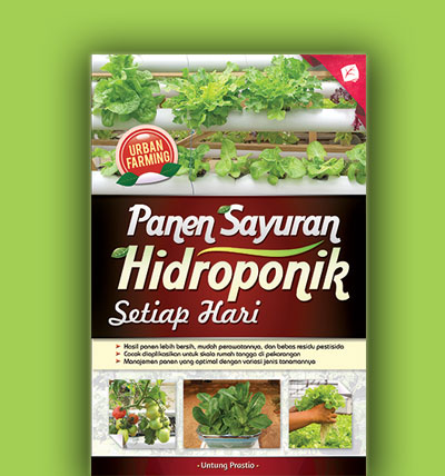 panen sayuran hidroponik