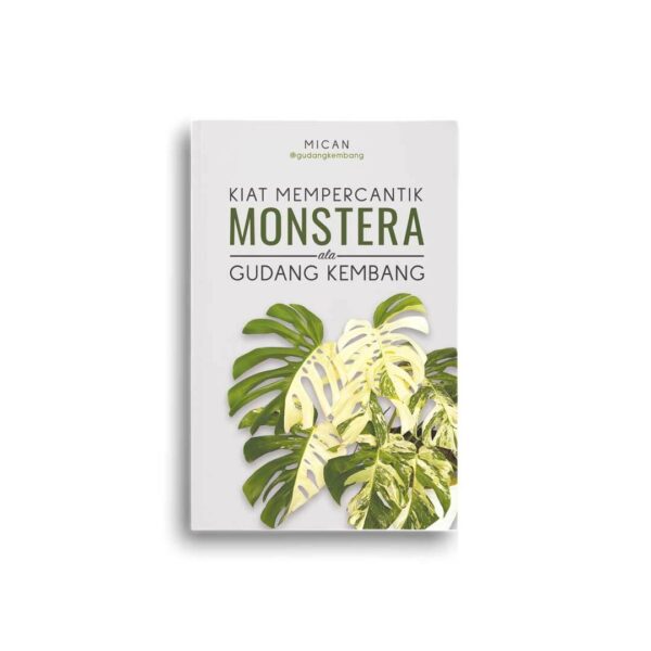 Kiat Mempercantik Monstera ala Gudang Kembang